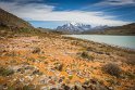 110 Torres Del Paine, Laguna Amarga